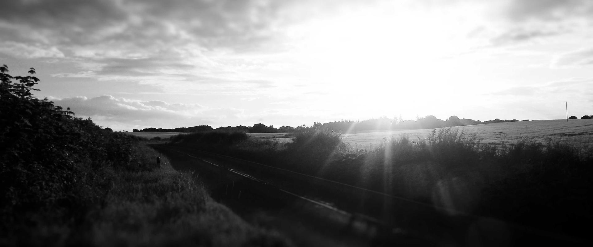 Lerise Factory & Office