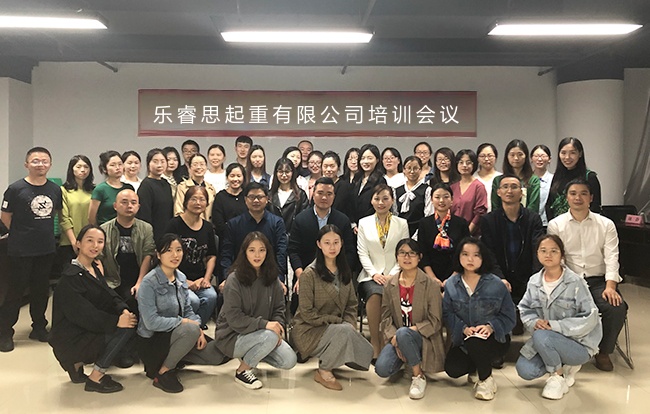 Lerise experienced engineering and sales team